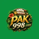 pak998 game icon
