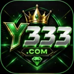 y333 icon