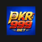 pkr999.icon
